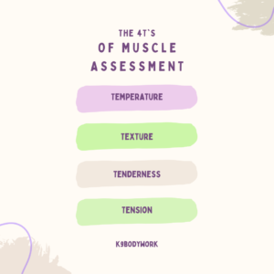 muscle assessment dogs